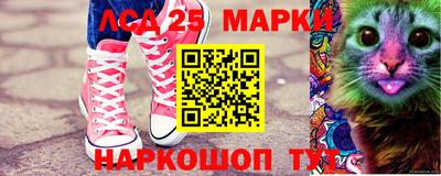 кокс Гатчина