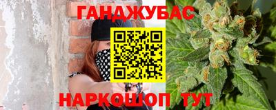 кокс Гатчина