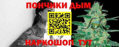 кокс Гатчина