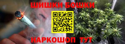 кокс Гатчина