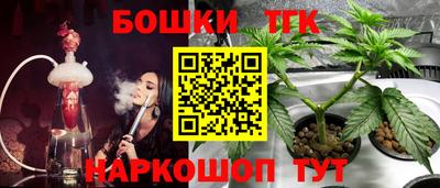 кокс Гатчина