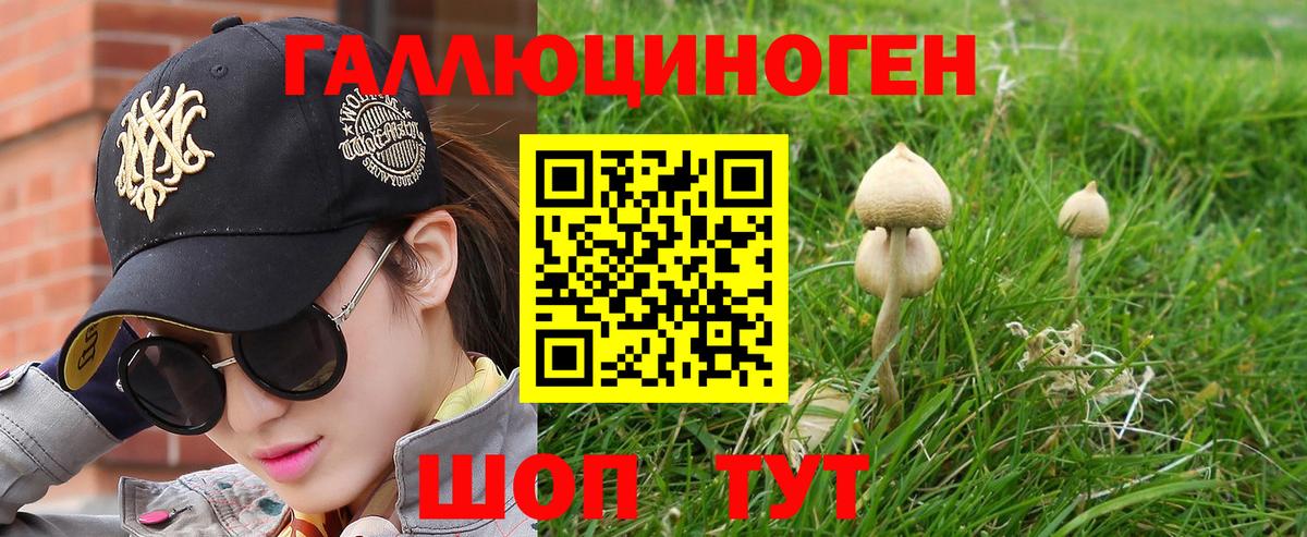 Гусиноозёрск  Галлюциногенные грибы прущие грибы  где найти наркотики  Вход с VPN 