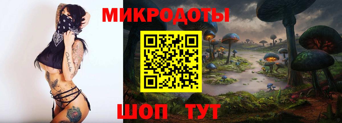 Псилоцибиновые грибы Cubensis  Гусиноозёрск 